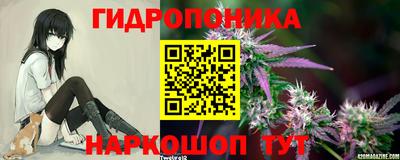 гидра Пыть-Ях