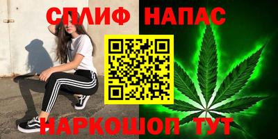 гидра Пыть-Ях